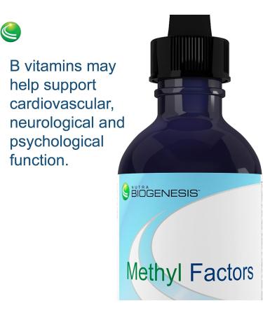 Nutra BioGenesis Methyl Factors - B12 and Methyl Folate for Brain & Cardiovascular Health - Berry Flavor - 2oz - Buy Online on GoSupps.com
