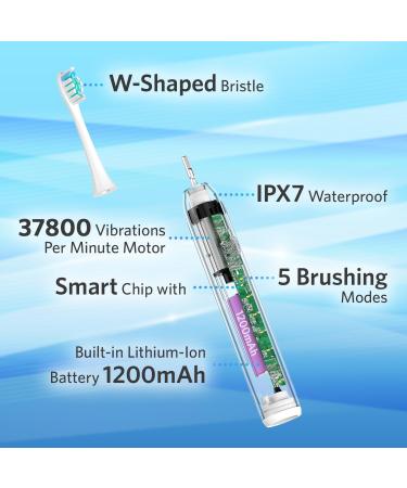 BESTEK Electric Toothbrush - Powerful Rechargeable Toothbrush with Multiple Modes Smart Timer & 6 Replacement Brush Heads - International Shipping Available - Buy Online on GoSupps.com