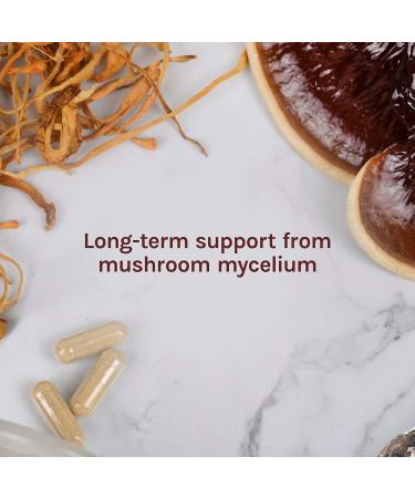 Fungi Perfecti Breathe Healthy: 60 Vegetarian Capsules for Respiratory Support - Buy Online on GoSupps.com