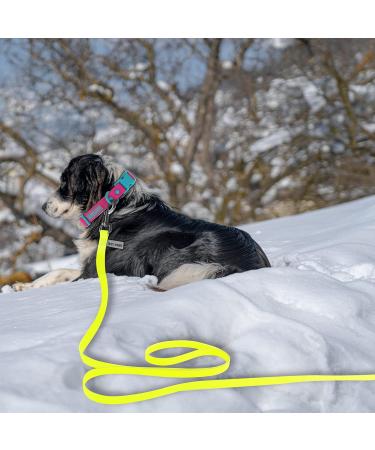 Wolfone 9m Yellow Tow Lines for Dogs | Waterproof Training Leash | Durable Recall Line for Swimming Camping Beach Hunting & Walks - Buy Online on GoSupps.com