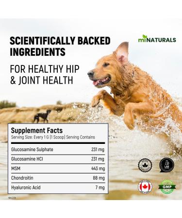 miNATURALS Premium Glucosamine Joint Powder for Dogs Arthritis Pain Relief & Hip Dysplasia Support Reduces Inflammation with Glucosamine Chondroitin MSM and Hyaluronic Acid - Buy Online on GoSupps.com