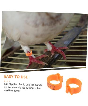 Housoutil 100 Pcs Pigeon Anklet Labels African Grey Parrot Leg Ring Pigeon Foot Ring Quail Pigeon Gear Baby 1.3X1.3CM Orange - Buy Online on GoSupps.com