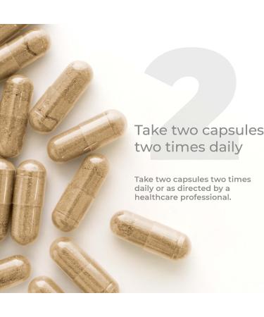 Premier Research Labs Premier Green Tea Extract - Green Tea Capsules Green Tea Extract Pills Green Tea Supplement with ECGC Camellia Sinensis Pure Vegan Friendly - 120 Vegetarian Capsules - Buy Online on GoSupps.com