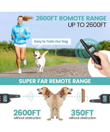 New Classic Dog Collars - Nylon Waterproof & Breathable Perfect for All Sizes | Shop Now! - Buy Online on GoSupps.com
