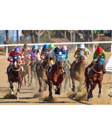 Prairie Horse Supply 24 Inch Black Single Slapper Crop - High-Quality Riding Crop - Buy Online on GoSupps.com