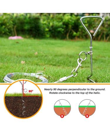 XhuangTech 16.4ft Dog Tie Out Cable with 16 inches Heavy Duty Spiral Ground Stake Spike for Dog Up to 130 lbs for Playing Camping and Backyard in Ground - Buy Online on GoSupps.com
