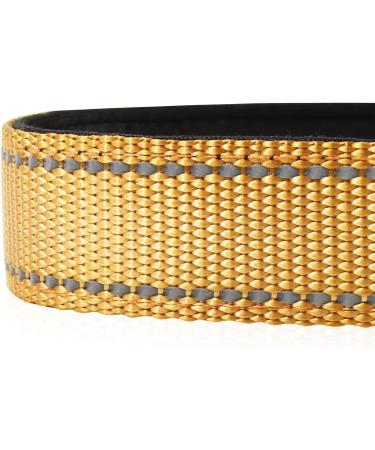 Joytale Reflective Dog Collar for Small Dogs - Brown Size S (Pack of 1) | Durable & Stylish - Buy Online on GoSupps.com