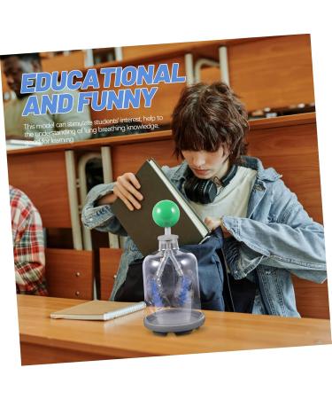 Buy Healvian Lung Breathing Model - Educational Human Body Organs Teaching Tool for Anatomy | International Shipping Available - Buy Online on GoSupps.com