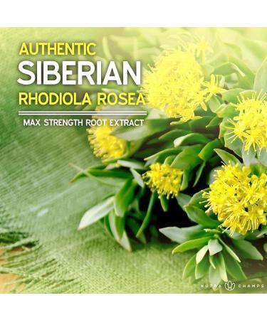 Rhodiola Rosea Capsules | 120 Rosavin Plus Salidrosides | Siberian Rhodiola Extract Supplement | 300mg Vegan Pills for Energy, Stress Relief, Mood Support & Focus - Buy Online on GoSupps.com
