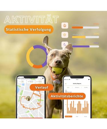 Weeneect XS Mini GPS Tracker for Dogs - Real-Time Tracking Waterproof & Subscription | Smallest Model 2023 - Buy Online on GoSupps.com