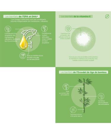 Vita ARTICULATION SOD de melon Compl ment alimentaire pour les articulations souplesse articulaire et sant des os Exsudat de tige de bambou Om ga3 (EPA et DHA) Vitamine E 60 Capsules - Buy Online on GoSupps.com