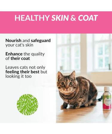 Nutrolin Cat Senior Health Supplement 7yrs+ | Omega 3 & Antioxidant Vitamin E | Supports Mobility, Joints & Vital Organs | 150ml - Buy Online on GoSupps.com