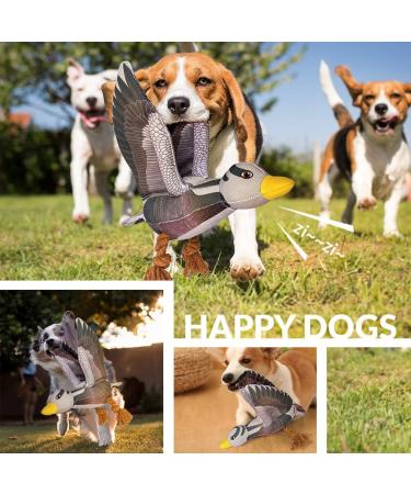 Shop Aquatic Human Squeaky Dog Toys - Crocodile Parrot Lizard & Wild Goose for All Dog Sizes - Buy Online on GoSupps.com