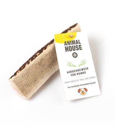 Animal House - shared deer antler for dogs - 100% natural causnack - mouth hygiene - resistant and durable - available in all sizes (m) m 1 piece (1 Pack)