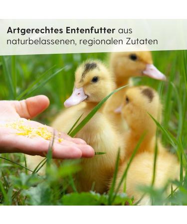 Leim ller Premium Duck Feed Pellets 5 kg | Non-GMO Bird Feed for Ducks & Geese | Starter & Chick Lining - Buy Online on GoSupps.com