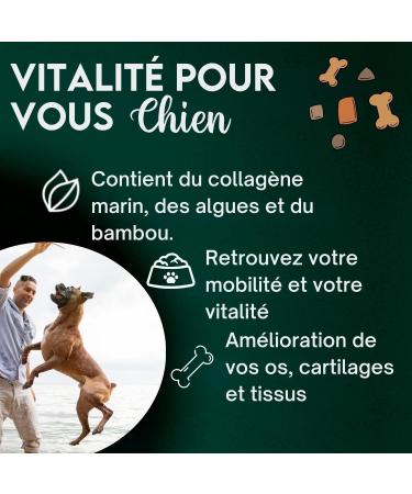 DISANE Marine Collagen Dogs | Natural Food Supplement for Dog Joint Care | Protects and Restores Bones and Joint Tissues | Chondroprotectors for Dogs - Buy Online on GoSupps.com