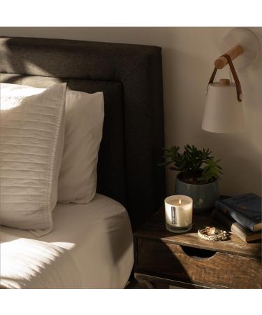 Shop ScentAir Patchouli Blanc Scented Glass Jar Candle - International Shipping Available - Buy Online on GoSupps.com