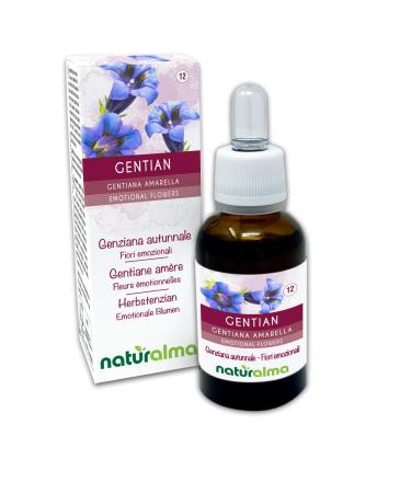 Gentian ou Gentiane am re (Gentiana amarella) Fleurs motionnelles ou Fleurs de Bach Naturalma - Gouttes 30 ml - Extrait liquide sans alcool - Essences florales - Vegan