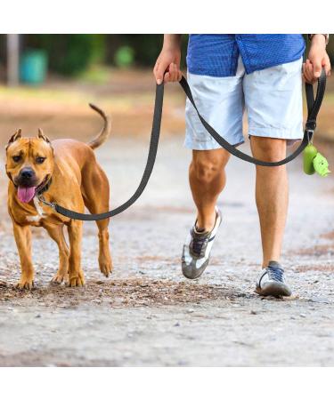 Joytale Reflective Dog Leash - Padded Handle Nylon Leash for Walking & Training - 6FT/5FT/4FT - For Large, Medium, Small Dogs - Black - Buy Online on GoSupps.com