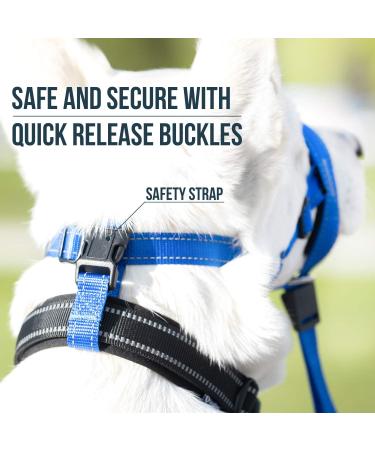 Goodboy Dog Halver - No Pull Leash Control for Small Medium & Large Dogs | Size 3 Blue Nylon with Black Padding | Comfortable Training Solution - Buy Online on GoSupps.com