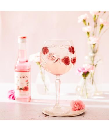 MONIN - Assorted Rose Syrup and Hibiscus Syrup for Prosecco Cocktail Iced Tea and Lemonade - Natural Flavors - 2x70cl - Buy Online on GoSupps.com