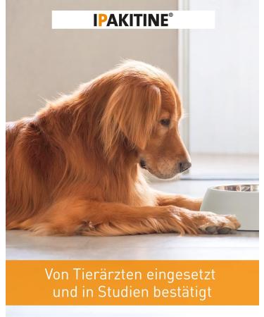 Vetoquinol Ipakitine Powder 300g - Renal Health Supplement for Cats & Dogs - Fast International Shipping - Buy Online on GoSupps.com