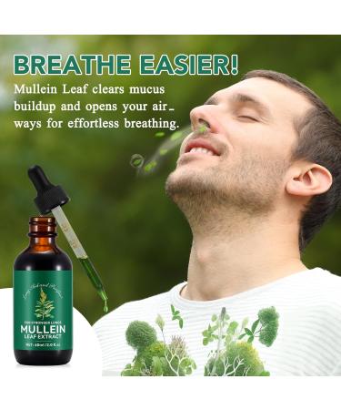 WeiWeiLa Mullein Drops for Lungs Mullein Leaf Extract for Lungs Mullein Leaf Tincture Drops Powerful Mullein Leaf Liquid Extract Drops Vegan Mullein Leaves Sublingual Fast Absorption 2 OZ - Buy Online on GoSupps.com