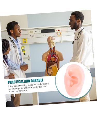 10 Pairs Artificial Silicone Ear Models for Piercing Practice - Realistic Fake Ears for Body Art & Training - Buy Online on GoSupps.com