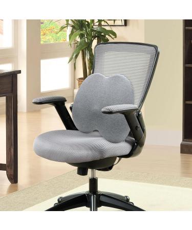 Lumbar Support Pillow | Breathable Lumbar Support Cushion Soft Sponge Auto Seat Back Support for Driving Seat Summer Ergonomic Design Gray - Buy Online on GoSupps.com