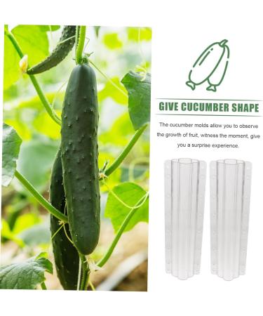 Milisten 4 Pcs Vegetable Shaping Fruit Forming Cucumber Shaper Watermelon Accessories - Buy Online on GoSupps.com