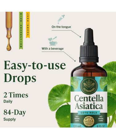 HERBAMAMA Gotu Kola Tincture - Vegan Brain Support with Centella Asiatica Extract Drops for Brain Support - Non-GMO, Alcohol & Sugar-Free Gotu Kola Extract Supplement, 84-Day Supply 4 Fl Oz (Pack of 1) - Buy Online on GoSupps.com