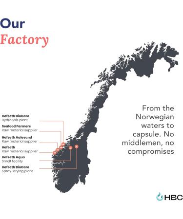 High Strength Omega 3 Fish Oil - 1000mg Norwegian Salmon Oil with EPA & DHA No Burping or Aftertaste Omega 3 Fatty Acids Supplement for Eye Brain & Heart Triglyceride Form - 180 Capsules Salmon Oil 180 Count (Pack of 1) - Buy Online on GoSupps.com
