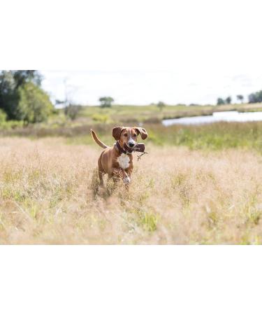 Buy TRIXIE 32192 Dog Activity Preydummy - Pack of 2 ( 7 x 18 cm) | Ideal for International Shipping - Buy Online on GoSupps.com