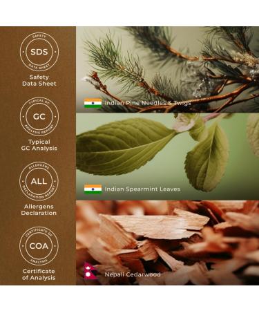 Gya Labs Christmas Tree Essential Oils Blends - 0.34 Fl Oz - for Diffuser Home Humidifier Aromatherapy and DIY Candle Making Scents Christmas Tree 0.34 Fl Oz (Pack of 1) - Buy Online on GoSupps.com