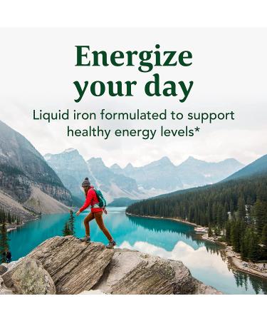 MegaFood Blood Builder Liquid Iron Supplement with Vitamin B12 - Non-Constipating Formula for Healthy Energy Levels - 15.8 Fl Oz - Buy Online on GoSupps.com