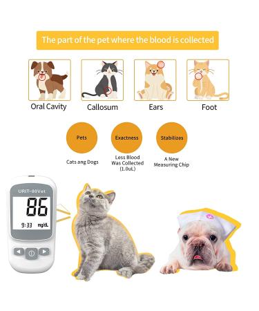 URIT Pet Blood Glucose Meter Kit with 50 Test Strips - Diabetes Monitoring System for Dogs & Cats - Buy Online on GoSupps.com