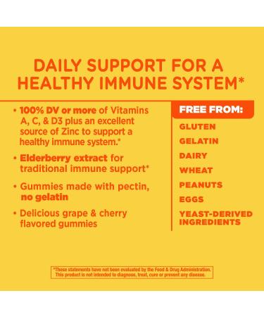 Nature's Way Alive! Immune Gummies - Grape & Cherry Flavors, 90 Count - Buy Online on GoSupps.com