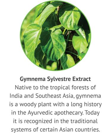 Botanic Choice: Gymnema Sylvestre Liquid Extract - Alcohol & Gluten Free, Non-GMO, 1oz 2 Pack - Buy Online on GoSupps.com