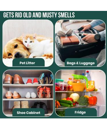 Oasisworks Bamboo Activated Charcoal Air Purifying Bags (4 Pack) - Odor Absorber for Home and Car - Pet Friendly Charcoal Air Purifier Bags - Buy Online on GoSupps.com