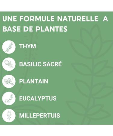 BREATHING FORMULA | Food supplement | Thyme sacred basil leaf plantain eucalyptus St. John's wort | Pollen | Soothes Thins | 60 Capsules | Made in France - Buy Online on GoSupps.com
