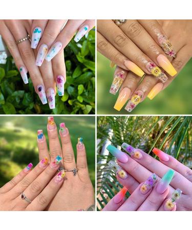 KISSBUTY 24 Colors Dry Flowers Mini Real Natural Nail Art Supplies - 2 Boxes Dried Flowers for 3D Nail Decoration and Manicure - Flowers and Gypsophila - Buy Online on GoSupps.com