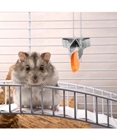 5-Piece Parrot Food Feeder Clips - Metal Vegetable Holder & Fruit Accessories for Bird Cages - Buy Online on GoSupps.com