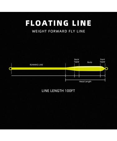 SF Weight Forward Fly Fishing Line 100FT - Floating Welded Loop for WF3 to WF8 - Fluo Yellow - Perfect for All Anglers - Buy Online on GoSupps.com