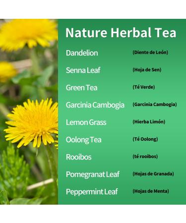 Te de Diente de Leon 30 Day Cleanse | Herbmood Dandelion Tea for Weight Loss - 60 Tea Bags - Buy Online on GoSupps.com