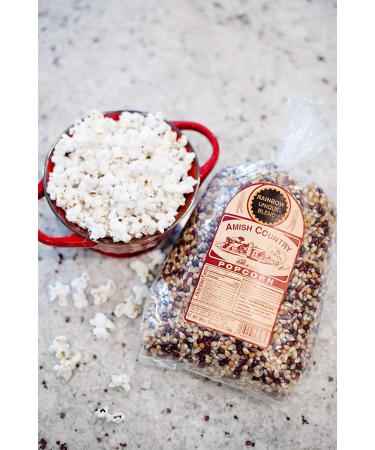 Amish Country Purple Popcorn Kernels - 6 lb Bag | Non-GMO & Gluten Free | Old Fashioned, Whole Grain Snack | 6 Pound Pack - Buy Online on GoSupps.com