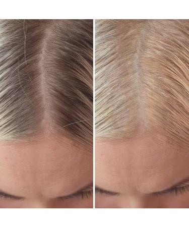 Color & Lift Temporary Root Cover Up - Thickening Powder Brush - Light Blonde - 8 Hair Colors Available - Buy Online on GoSupps.com