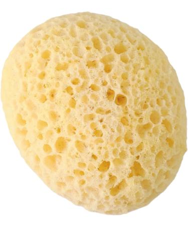 JYTDBCS 2X Large Soft Honeycomb Bath Sponges Bath Sponge Large - Buy Online on GoSupps.com