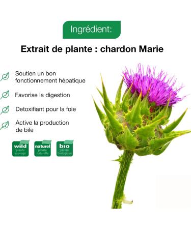 A.VOGEL - Dietary supplement - Fludified and soothed digestion - Supports the proper functioning of the liver - Antioxidant and detox - Organic milk thistle extract - 50 ml - Buy Online on GoSupps.com