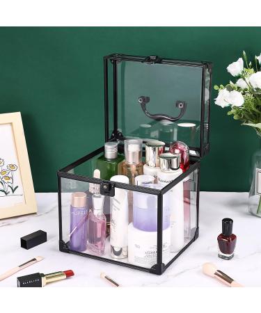 Noverlife Portable Clear Train Case for Cosmetics & Toiletries - Travel Makeup Organizer with Latches & Handle - Professional Storage Box for Makeup Tools and Bathroom Accessories - Buy Online on GoSupps.com