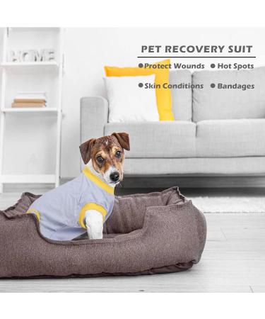 Buy Healing Suits for Dogs | Anti-Licking Vests & Surgical Protection - Light Blue XXL - Buy Online on GoSupps.com